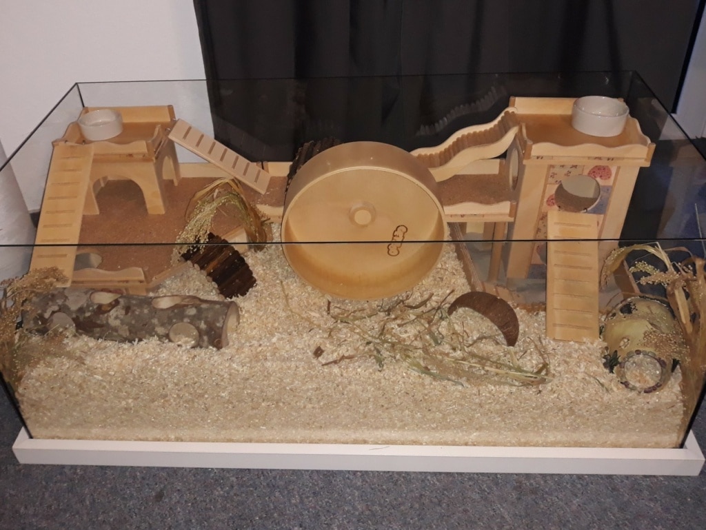 Hamsterhilfe Südwest Okarina Gehege