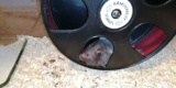 Img_20210730_225035
